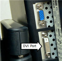 DVI Port